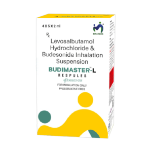 Budimaster-L packet